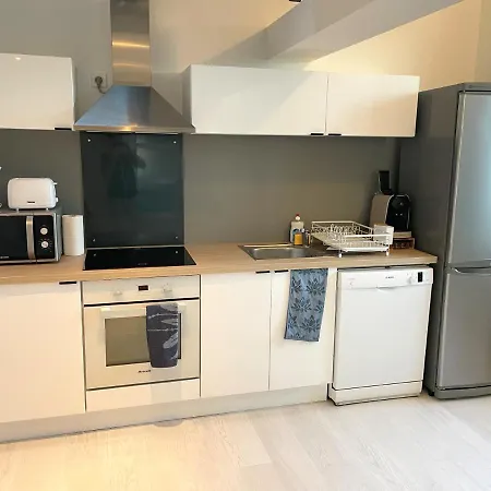 Apartment Loft Renove Avec Mezzanine - Vue Sur Le Loing - Commerces A Pied *