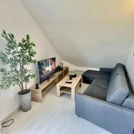 Loft Renove Avec Mezzanine - Vue Sur Le Loing - Commerces A Pied