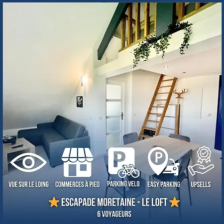 Loft Avec Mezzanine - Vue Loing - Commerces A Pied 公寓 莫雷卢安河