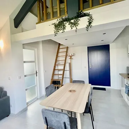 Loft Avec Mezzanine - Vue Loing - Commerces A Pied * 莫雷卢安河
