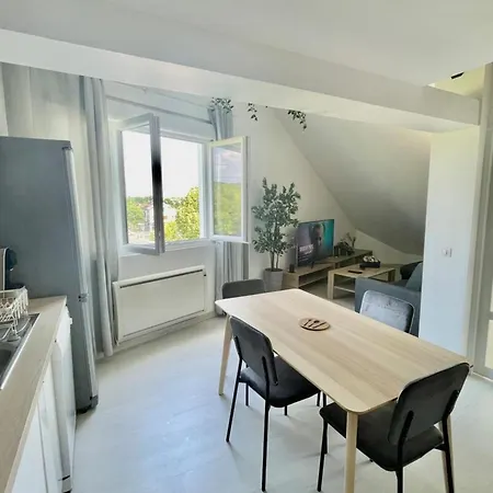 Loft Avec Mezzanine - Vue Loing - Commerces A Pied 莫雷卢安河