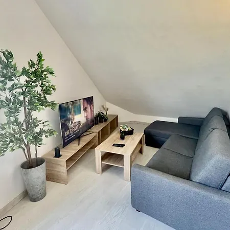 Loft Avec Mezzanine - Vue Loing - Commerces A Pied شقة