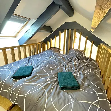 公寓 Loft Avec Mezzanine - Vue Loing - Commerces A Pied 莫雷卢安河