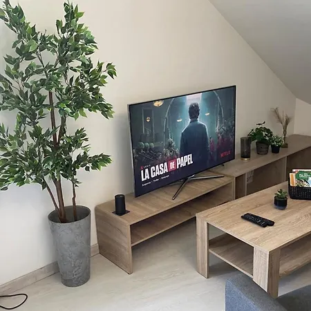 Loft Avec Mezzanine - Vue Loing - Commerces A Pied شقة